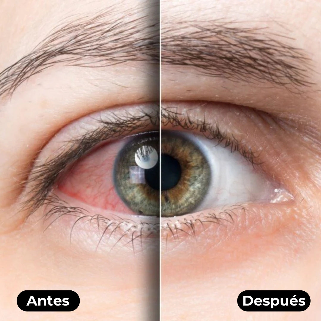 HydraVision de L U M I V I V E